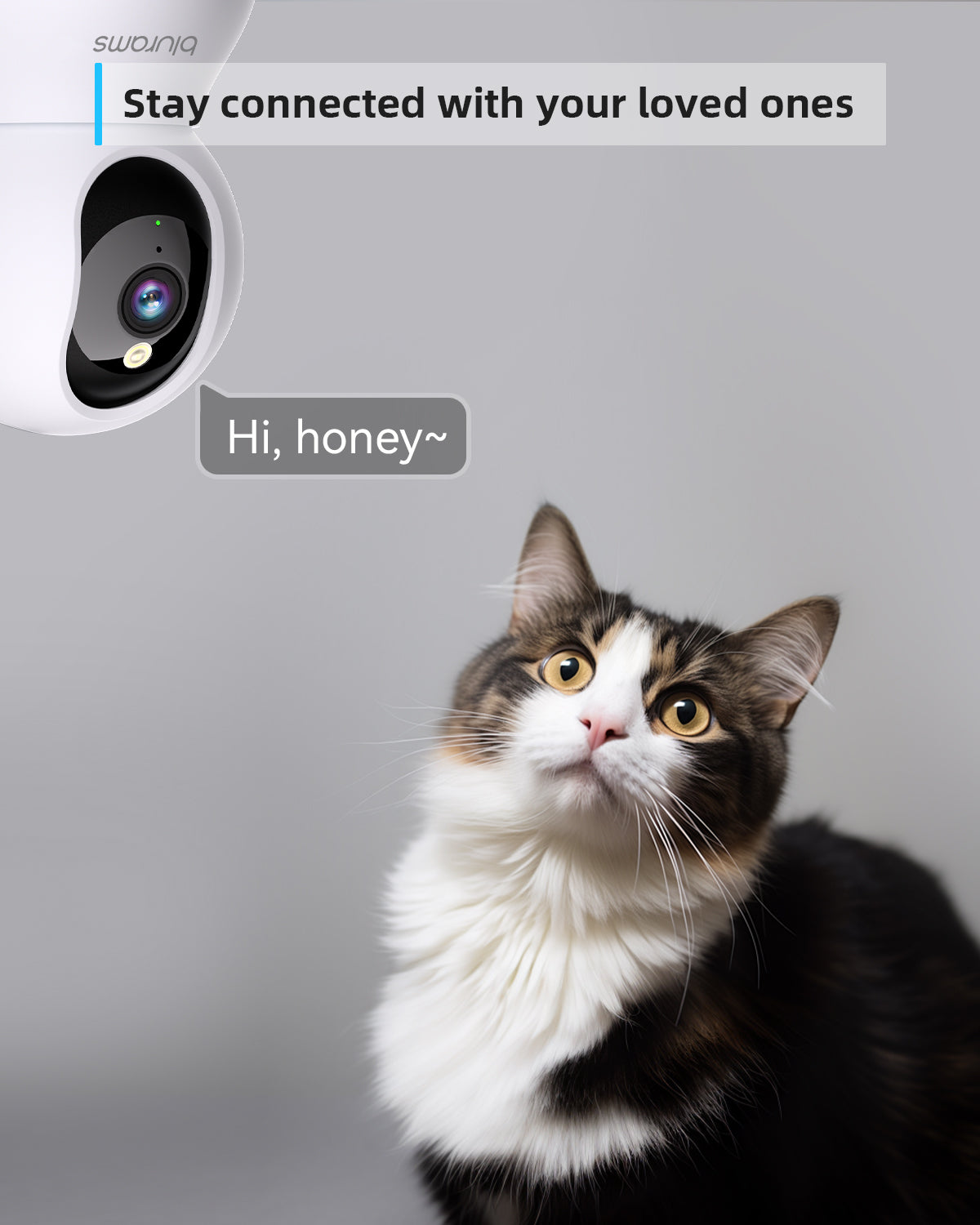 2K Pet Camera with Phone App