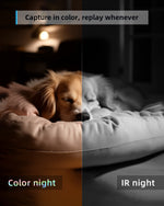 2K Pet Camera with Phone App - 7