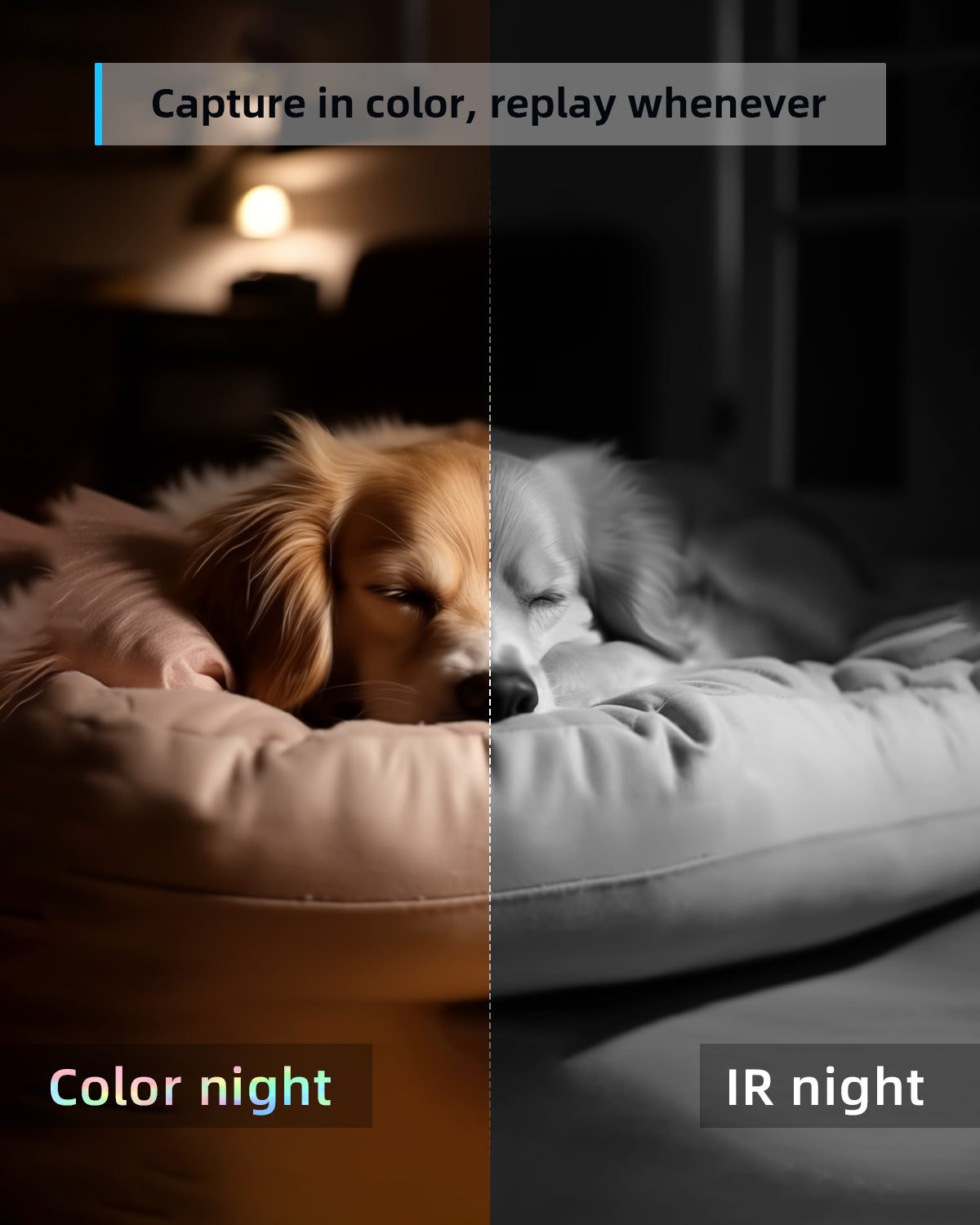 2K Pet Camera with Phone App