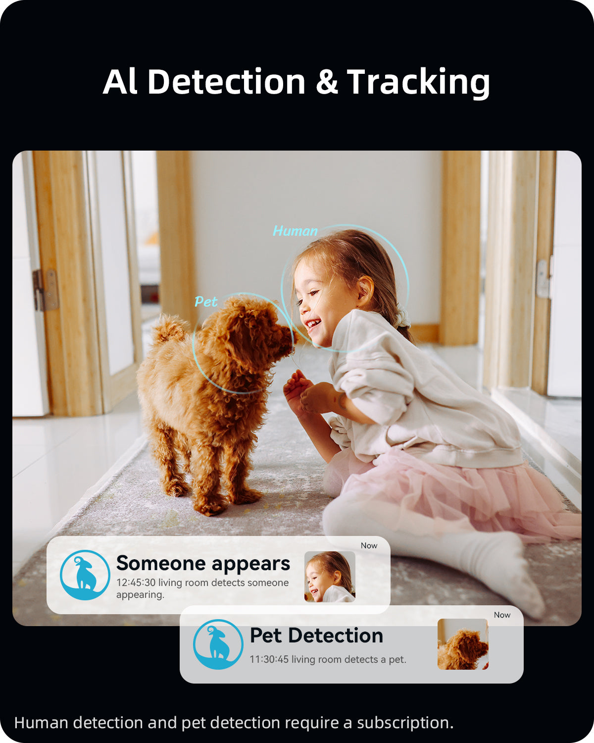 2K Pet 360° Camera