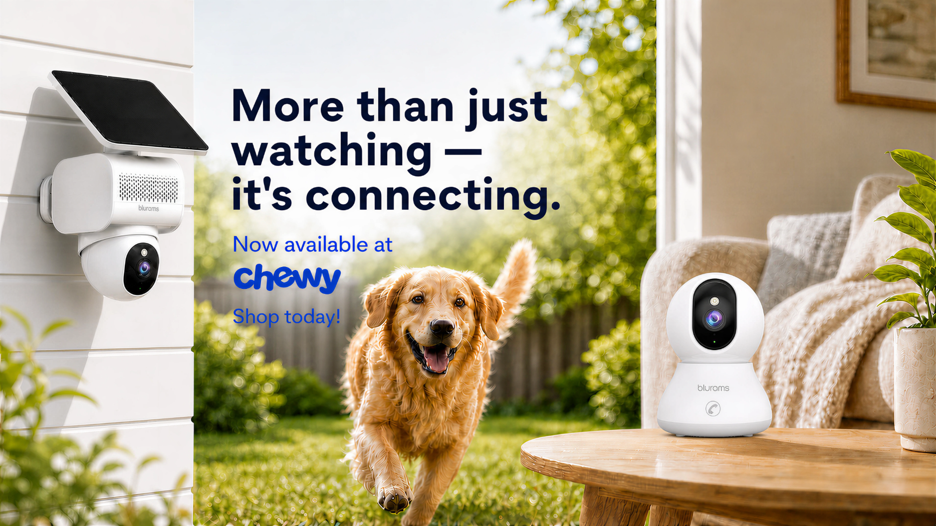 Blurams security cameras available at Chewy